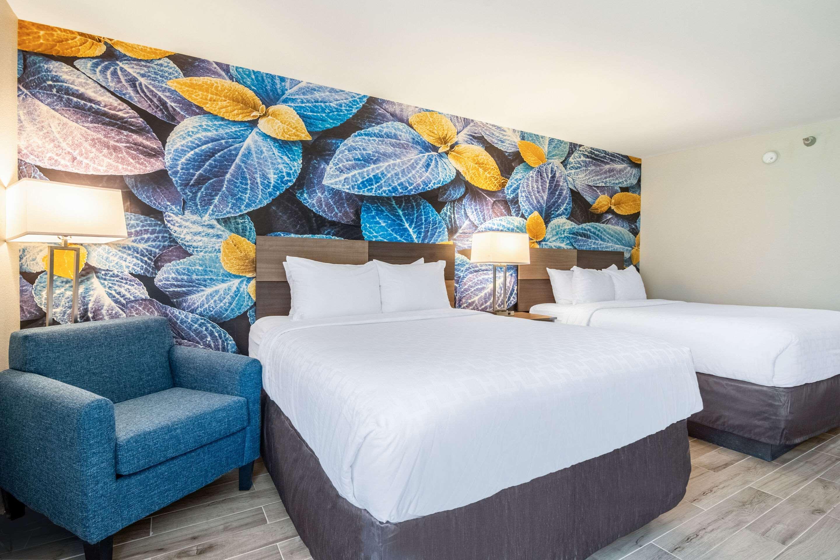 Clarion Pointe South Boston - Danville East Екстер'єр фото